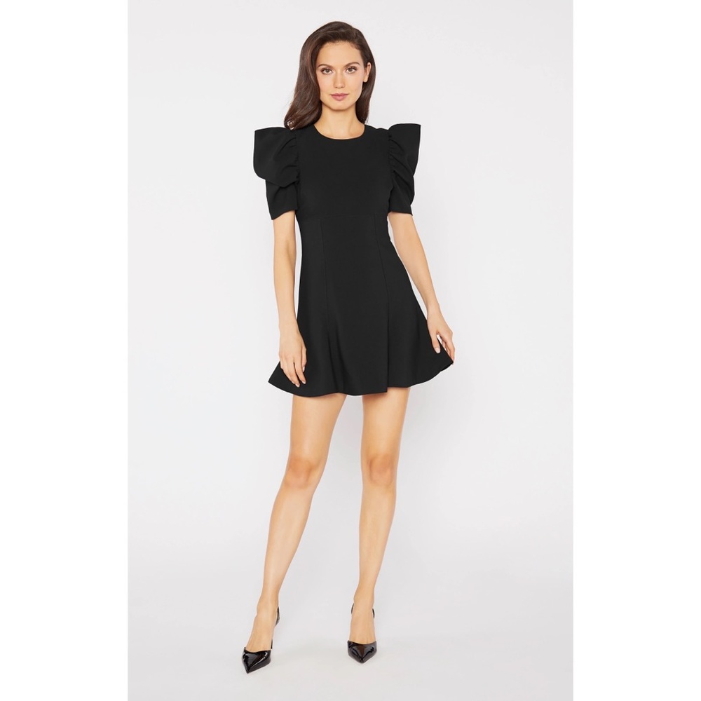 Likely puff sleeve Alia fit-and-flare dress NWT